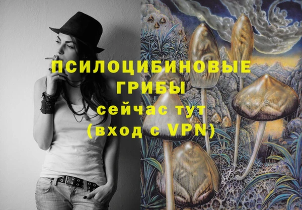 Альфа ПВП Верхний Тагил