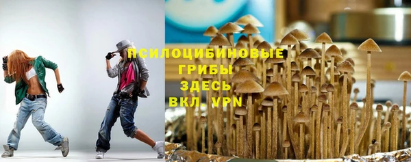гидропоника Верея
