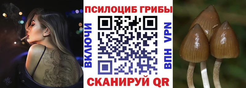 Купить закладки  Велиж  Псилоцибиновые грибы Magic Shrooms 